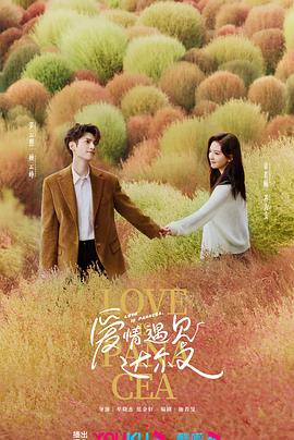 软件seo优化品牌